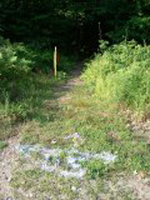 Combat Trail