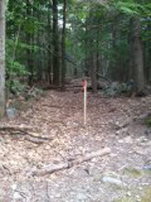 Combat Trail