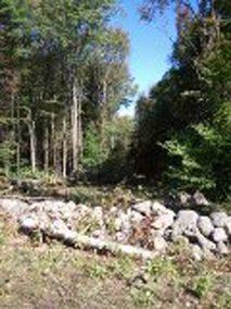 Combat Trail