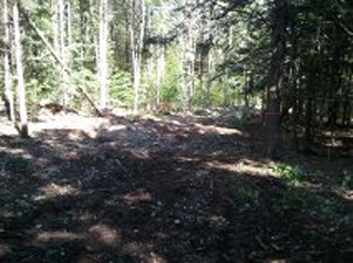 Combat Trail