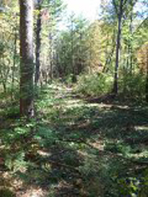 Combat Trail