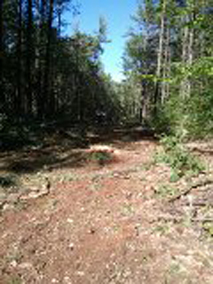Combat Trail