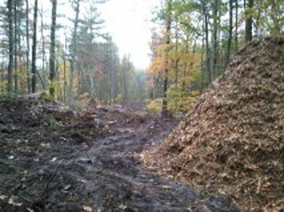 Combat Trail