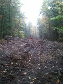 Combat Trail